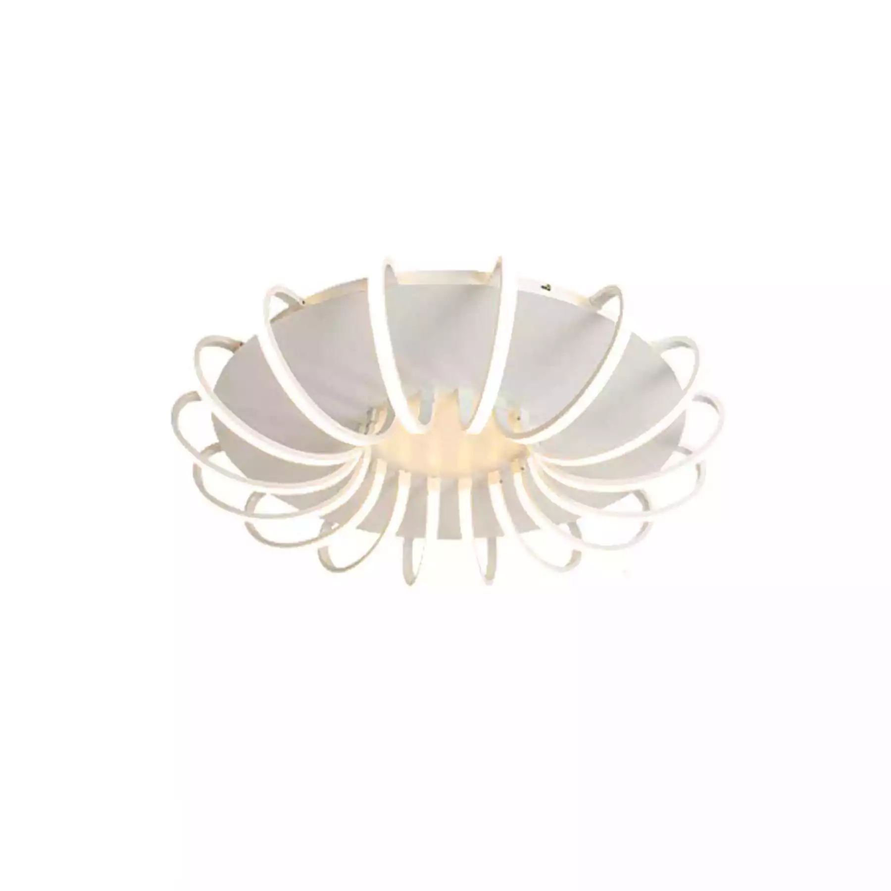 Orchid Floral LED Lamp