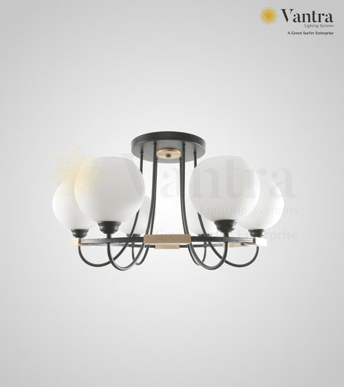 SYCAMORE 6 Chandelier Ceiling Light