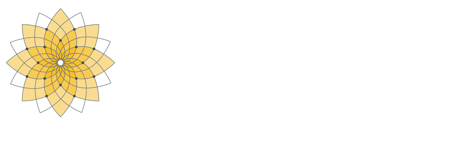 Vantra Lighting – Best Lighting Collection